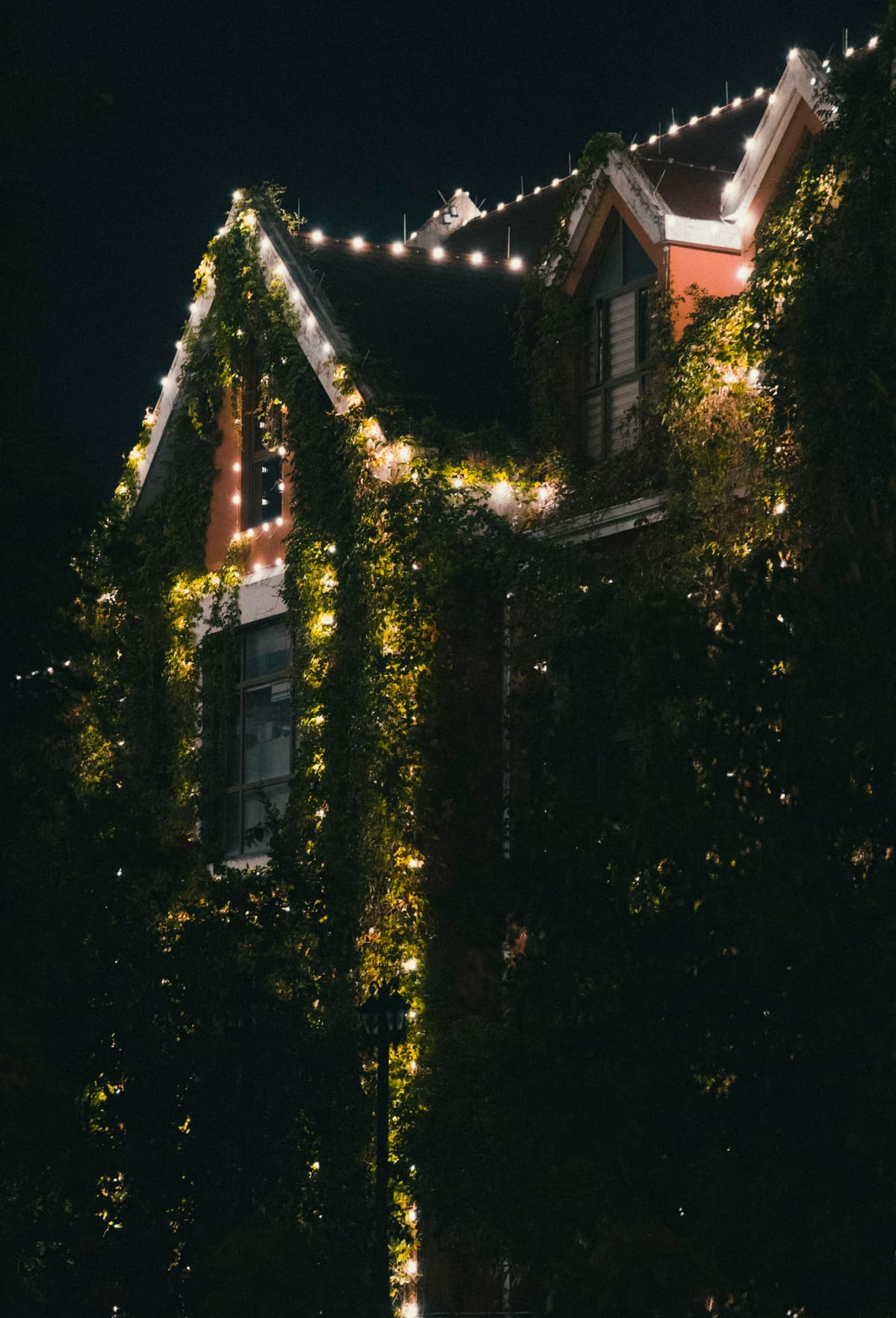 An ivy-covered house at night with warm bulb lights tracing its steep gables